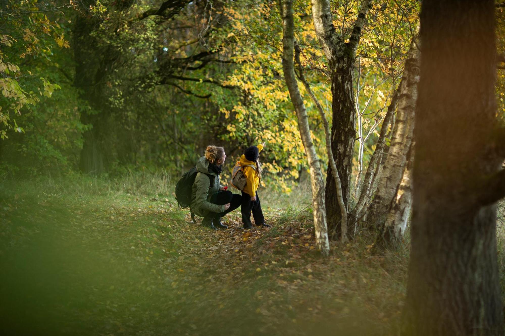 Im-Jaich Naturoase Gustow Gustow  외부 사진